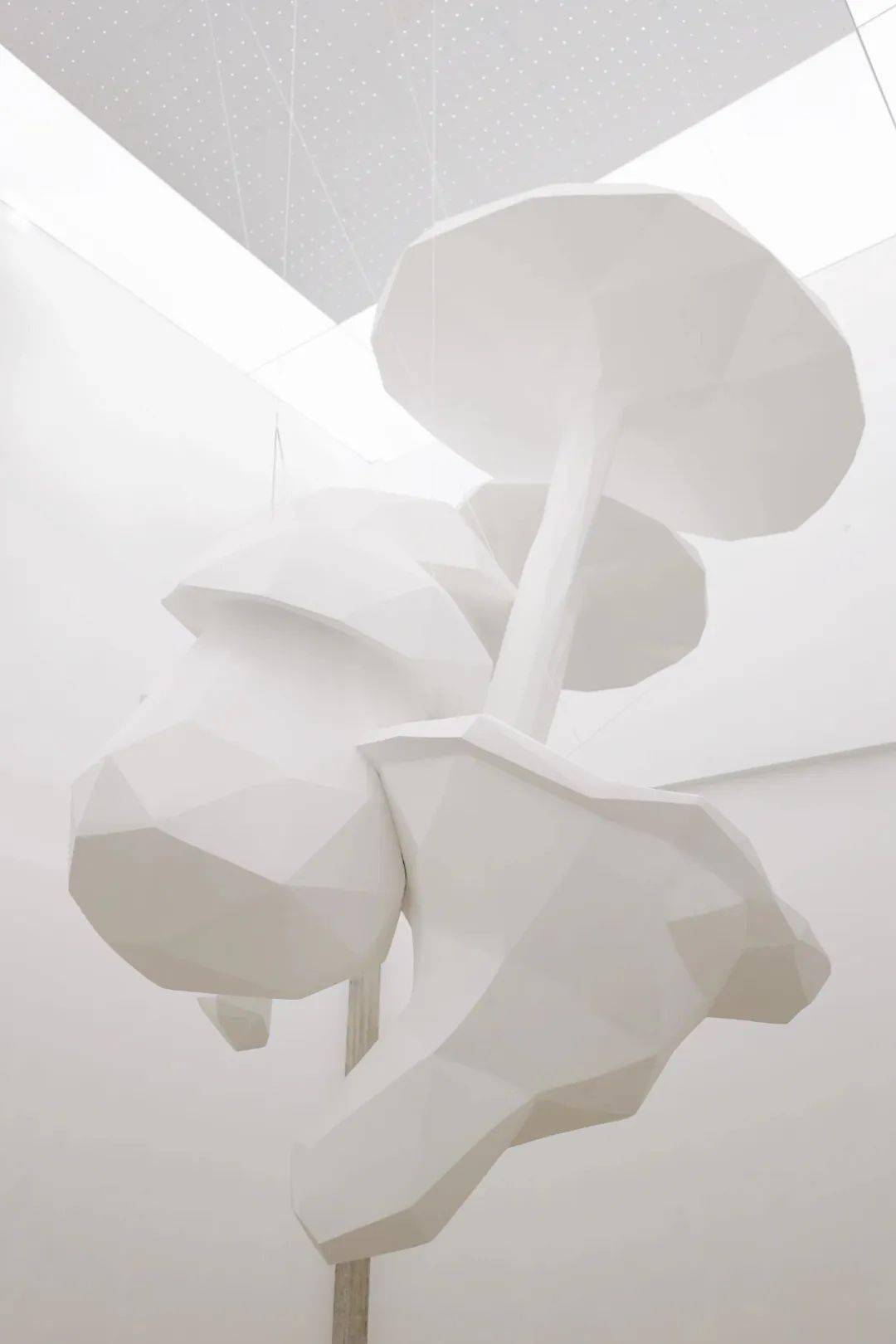 �����죺�����˶Ծ��ӵ����������Ӧ���á��ж���������