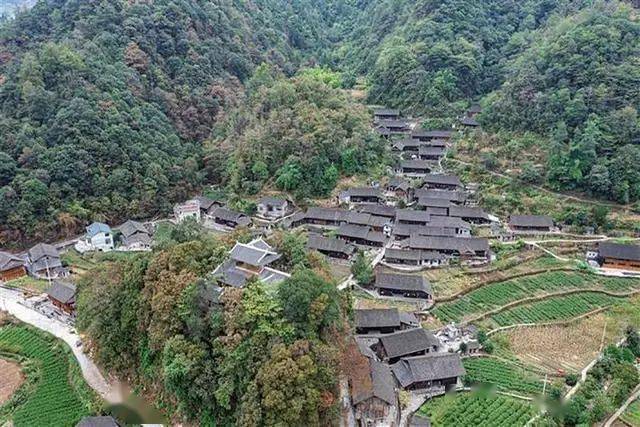 吉首市坪年村.