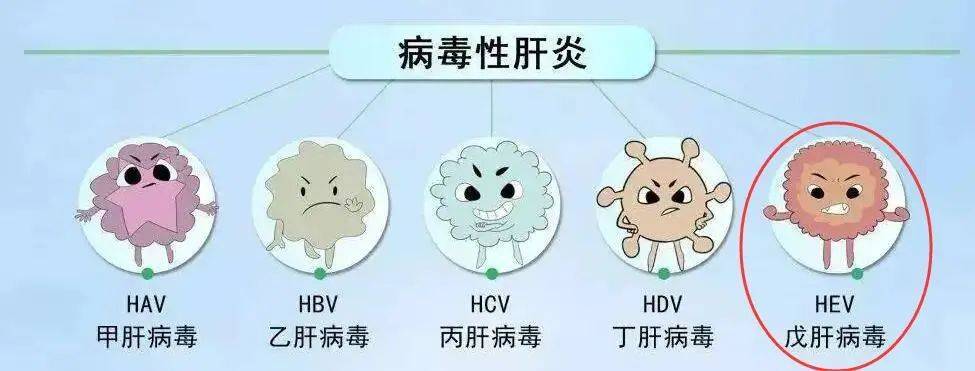 中国三代试管医院排名（上海每年发病率最高的急性病毒性肝炎，预防“病从口入”这些一定要做到！）