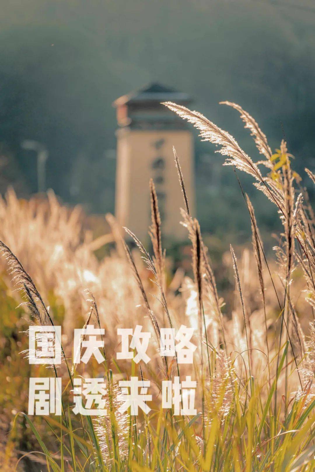 秋游丽水：“神秘畲乡”景宁攻略来了