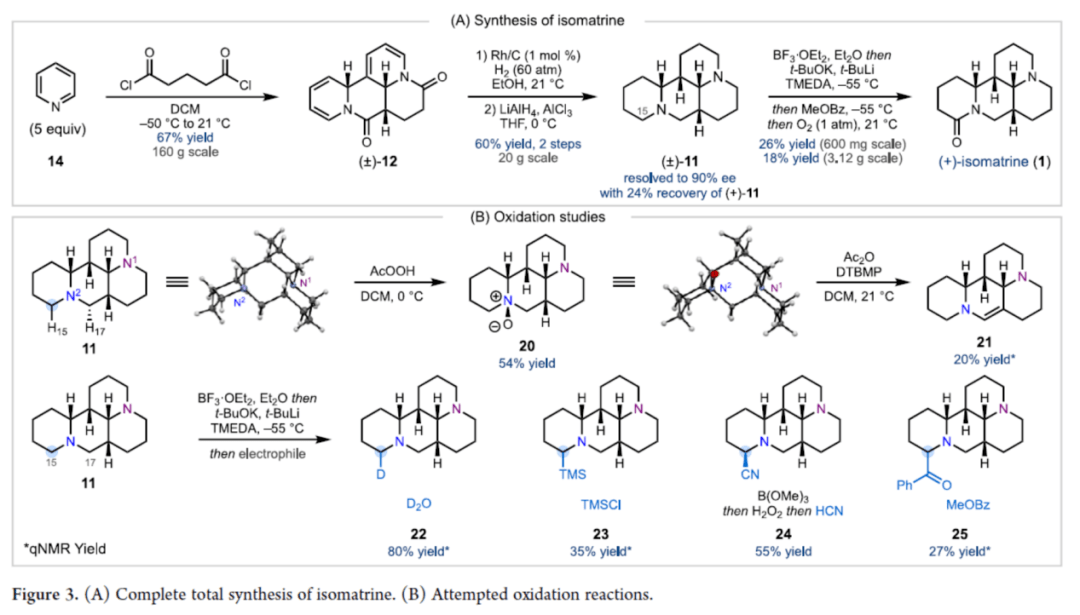 isomatrine(1)的全合成(figure 3a.