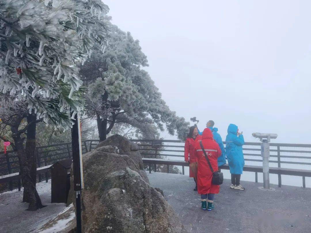 下雪了！下雪了！淅川接下来......