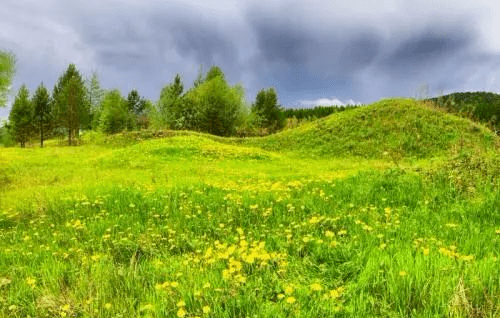 100λŵ������ѧ���޽���100����������