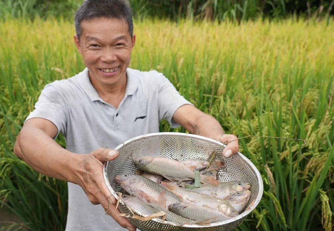 明天“搬砖”！假日乐趣还在回味