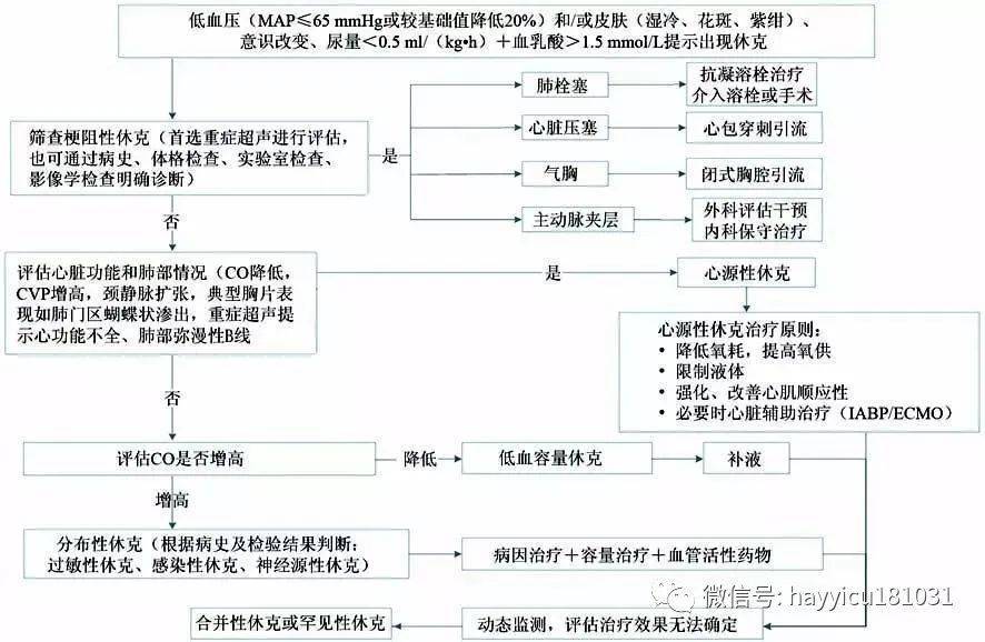 哪家成都供卵机构好（休克的诊断和治疗流程图（指南版））