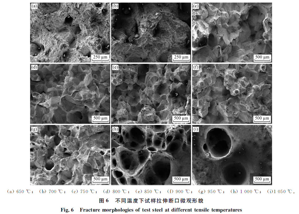 ���¿�������κ�����������������ֵָ������������ɻ��� ...