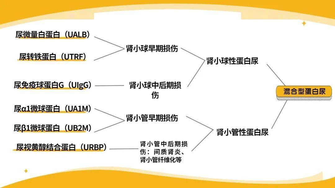 如何确定肾损伤类型?