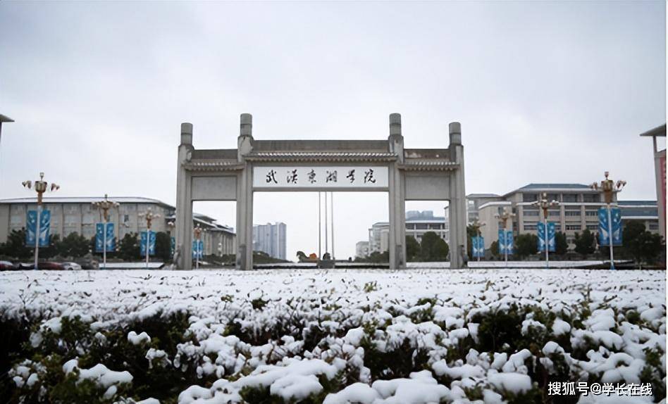 武汉东湖学院前身是武汉大学东湖分校,是全国最早设立的四所独立学院