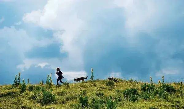 10���������ݵĵ�Ӱ��С���ѵ�Ц����ĺ�����