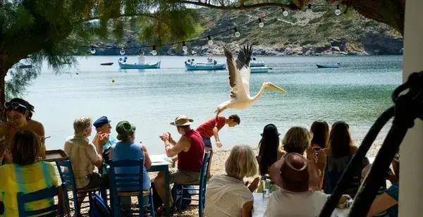 10���������ݵĵ�Ӱ��С���ѵ�Ц����ĺ�����