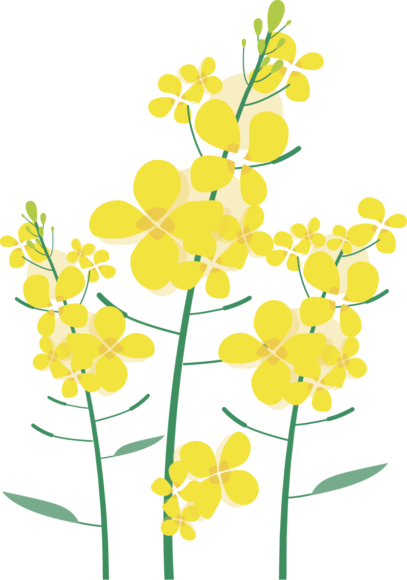 【安徽宣城】皖南小川藏线、水墨汀溪、黄田古村自驾2日游 【安徽宣城】皖南小川藏线、水墨汀溪、黄田古村自驾2日游