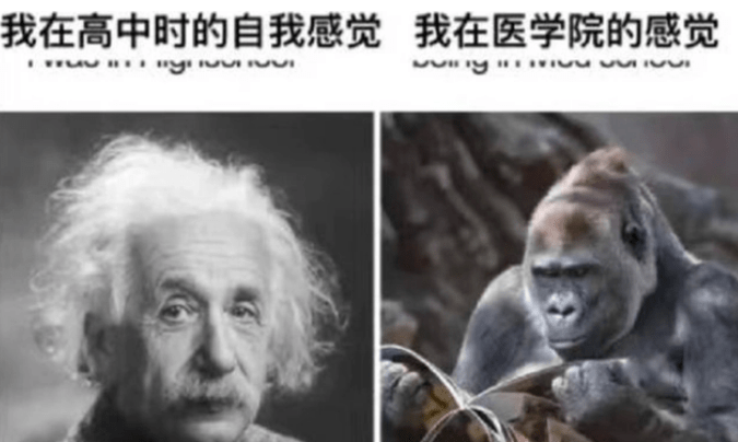 上海供卵费用（快来看）