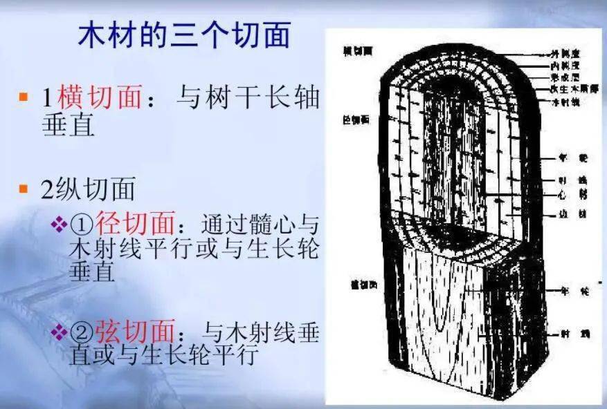 如何判断木材种类?_横切面_板材_变形