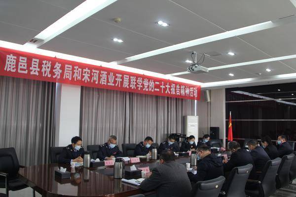 鹿邑县税务局：税企共建聚合力 党建引领促发展
