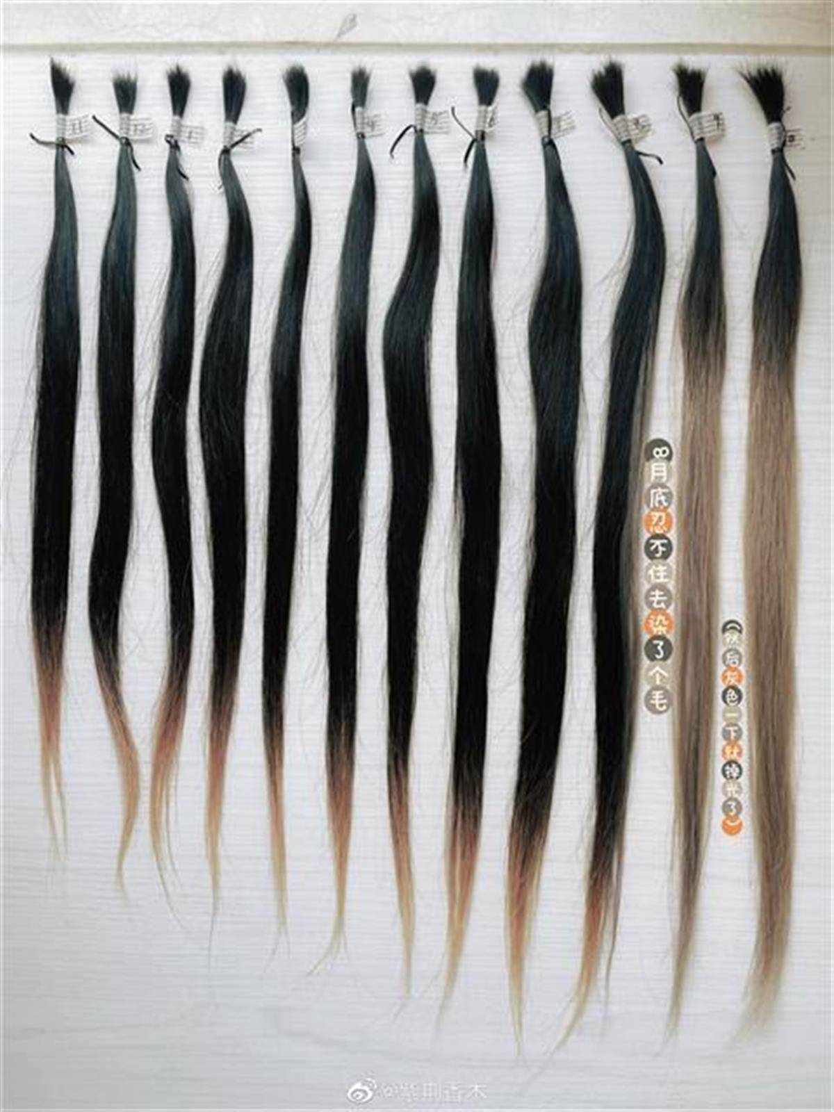 27岁女子收集1年掉发结成束有5.3厘米粗，当事人：整体发量似乎并没少