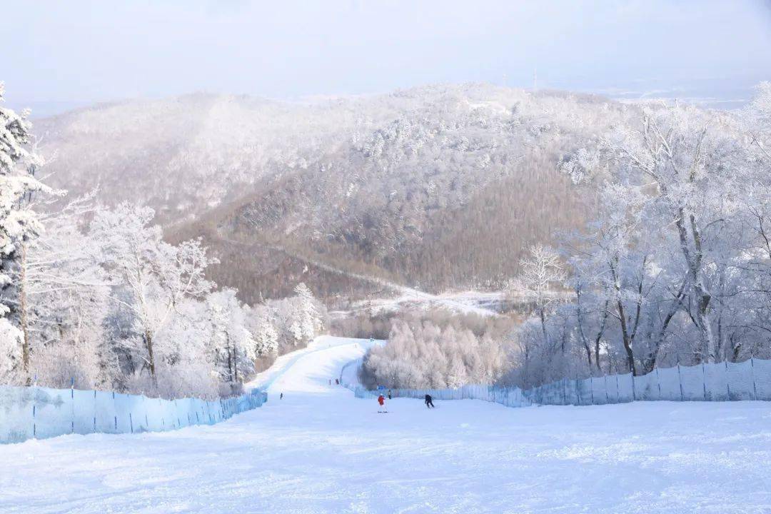 谈球吧体育3家滑雪场大盘点｜“开板日”就在眼前精彩不容错过！(图6)