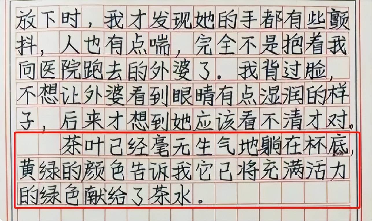 高考满分作文《茶叶与茶水》走红，仅开头一段，就惊艳了众人  高中作文 第4张