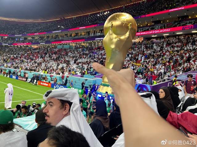 退钱哥在世界杯赛场举国旗引热议！网友：大写的尴尬！