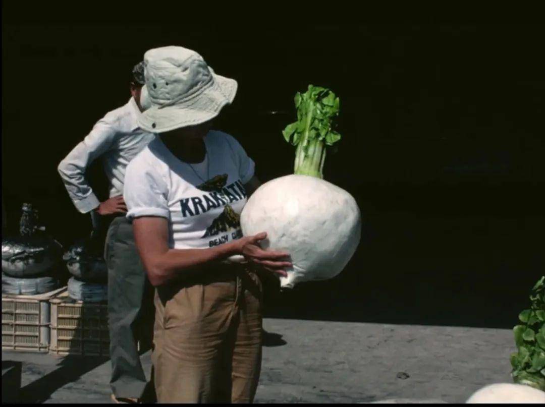 ���Ʊ����ߵļ�¼Ƭ����������CP�컨��