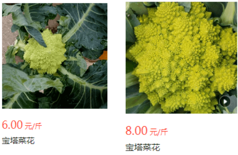 宝塔_菜花_蔬菜