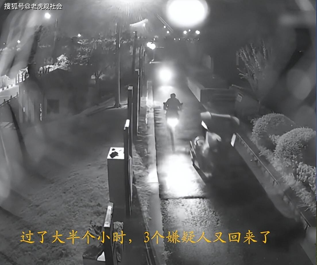 浙江杭州：大爷种三笼萝卜被偷二笼半，第二天早上变成萝卜丝，这些窃贼太可恶
