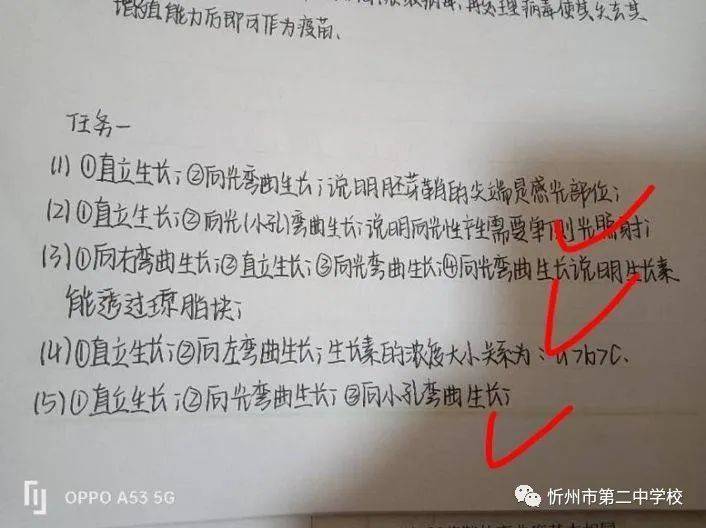 疫情当下 不忘初心 停课不停学——忻州二中高二年级学生网络授课纪实  高二作文 第23张