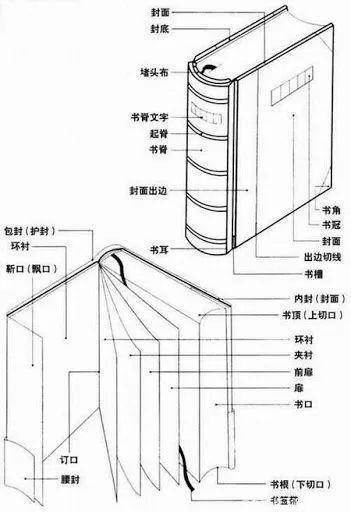 文章配图-11