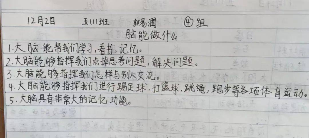 已退云散 静待花开——拓东二小专科组线上教学简讯