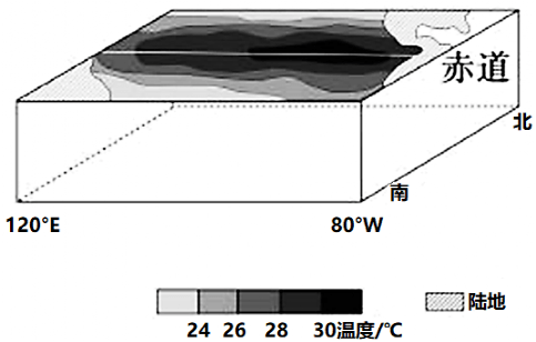 【地理素养"外星幻想"的奇怪植物(乞力马扎罗千里)