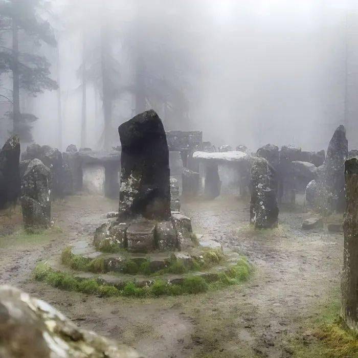 65�Ż��δ������Ƭ�����������Щ����Ľ�����̫������ ...