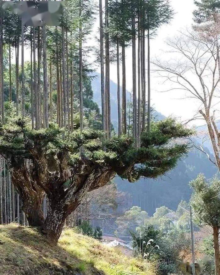 65�Ż��δ������Ƭ�����������Щ����Ľ�����̫������ ...