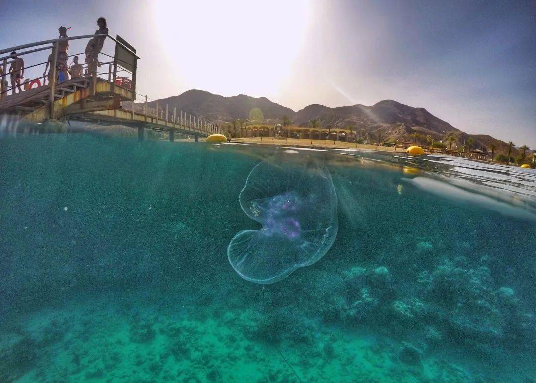 6��13��Ӧ��֮��Ү·����-��ɫ��Լ���Լ�֮��