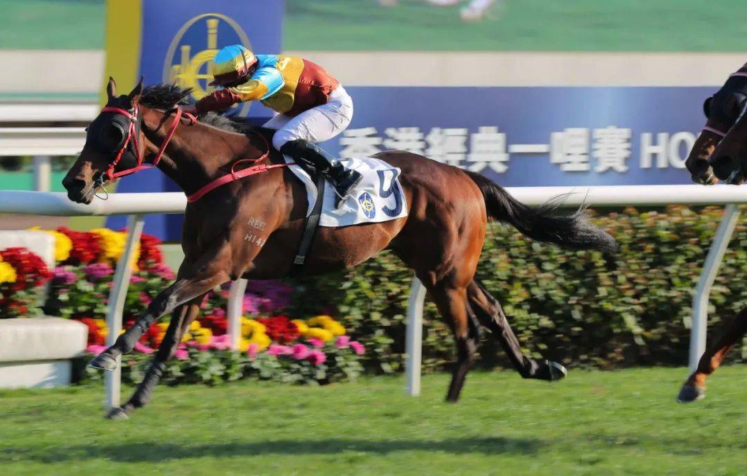 ������֮ս������ǹ��ʮ�����ۡ����±��� ���������ݡ�һ�� ...