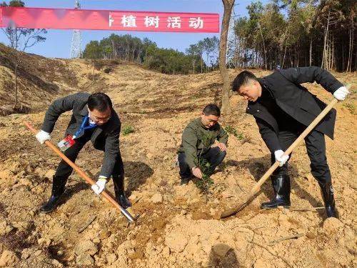 新春添新绿 | 江西各地开展新春义务植树活动