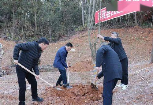 新春添新绿 | 江西各地开展新春义务植树活动