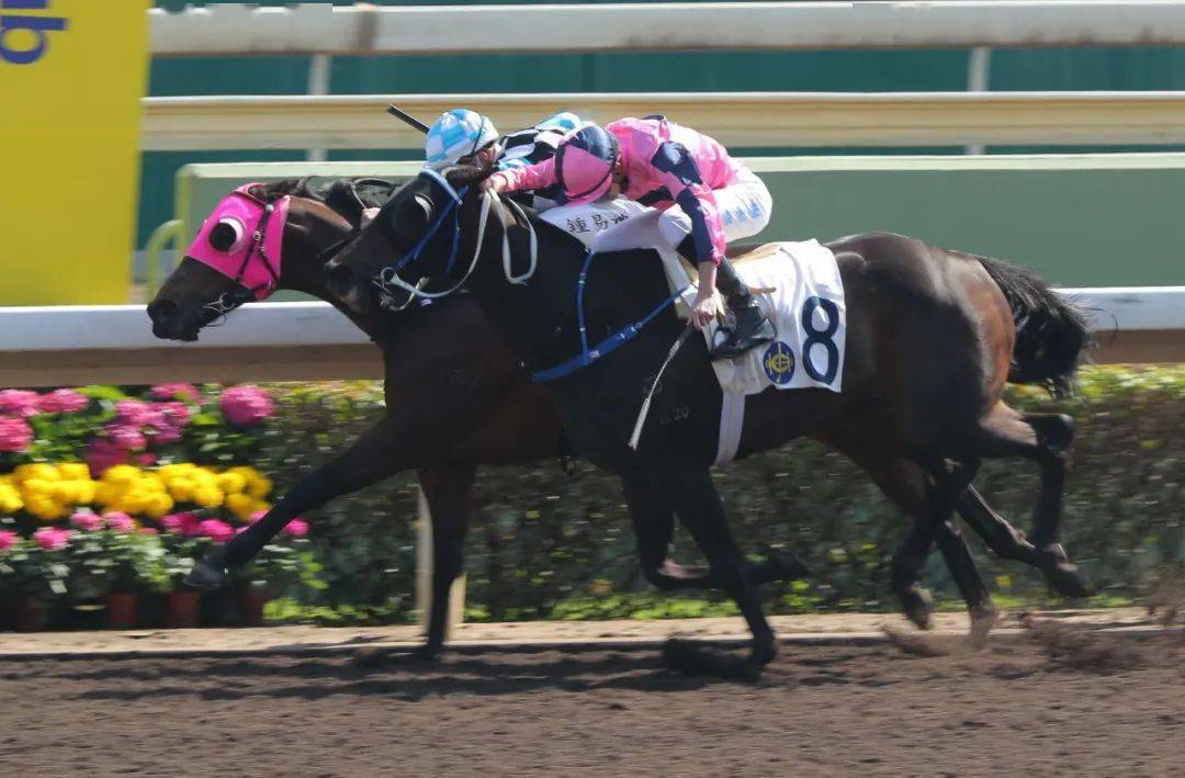 ������֮ս������ǹ��ʮ�����ۡ����±��� ���������ݡ�һ�� ...