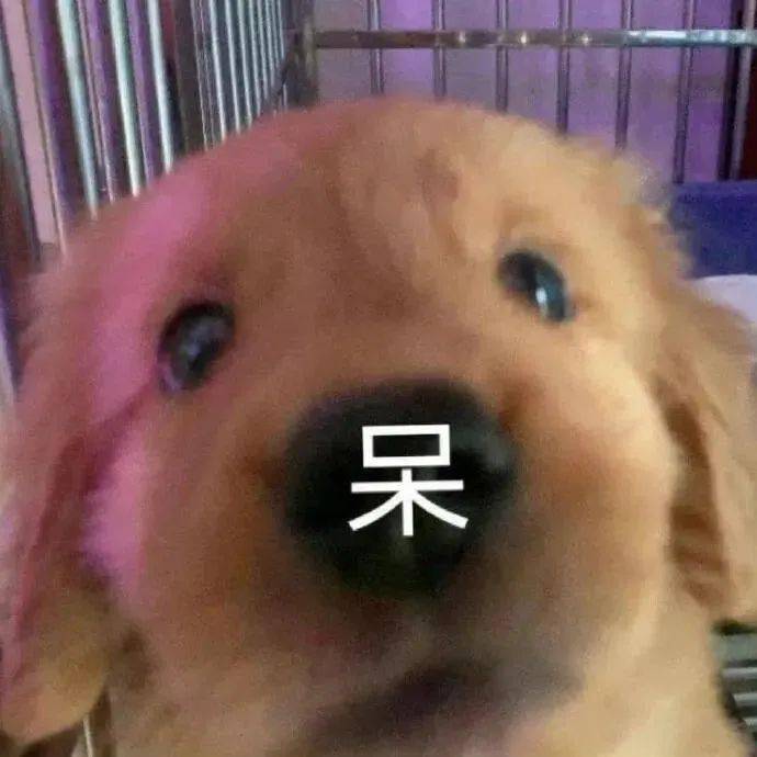 女子过年饭桌上与催婚亲戚激烈辩论，有理有据让众人插不上话——《汆肉杂花》