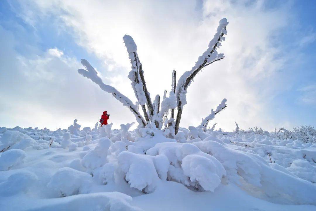 图集 | 2023“长白日下雪‘吉’美在延边”摄影做品展现（二）