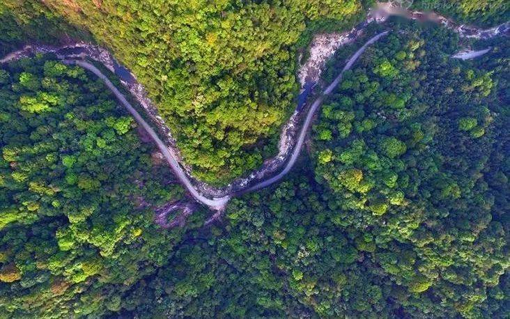 赏花、听瀑、登高、喂萌宠…韶关初春不成错过的踏青好去向来了，还免费