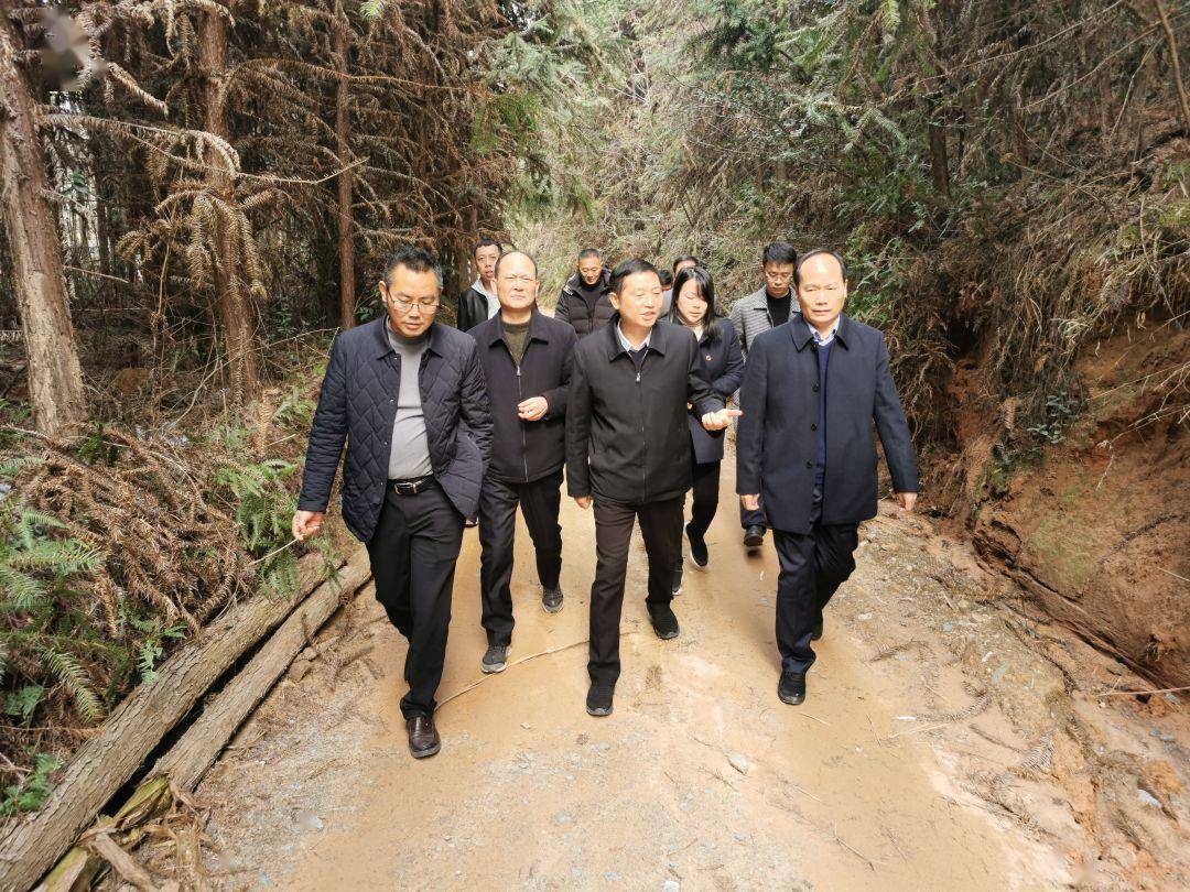 江志坚深入我县调研