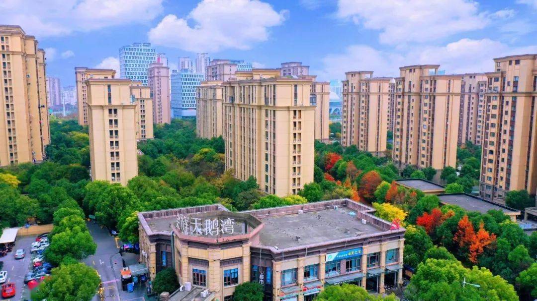 泛亚电竞喜报丨奉贤区六家社区被命名为2022年上海市老年友好型社区(图4)
