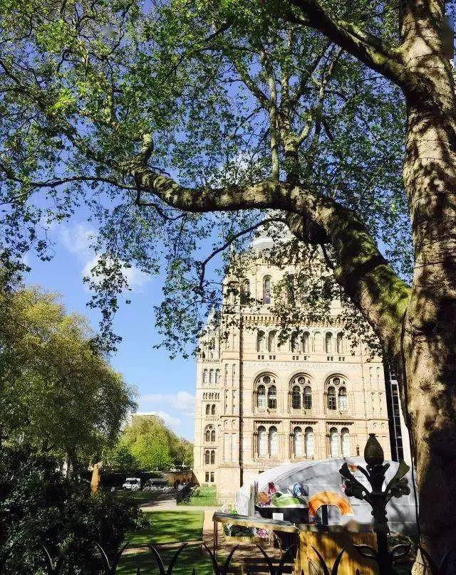 ���׶ظ�������������У���������