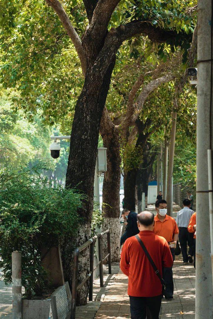 天河粤垦路，浓缩了半个广东的地道风味！