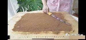 �����ڵ���ʽ���������ó�Ĥ��