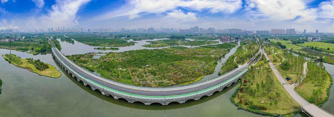 斑斓浙江建立｜三垟湿地“评脉者”正式入驻！扩增“城市绿肾”生态效益