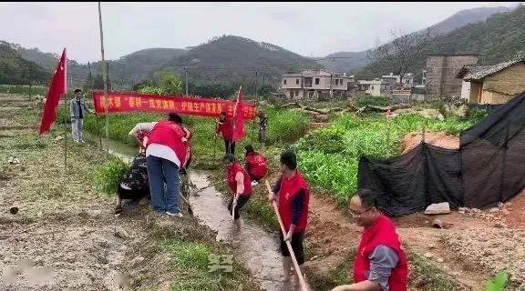 别样过节丨玉林市“三八”活动丰硕多彩