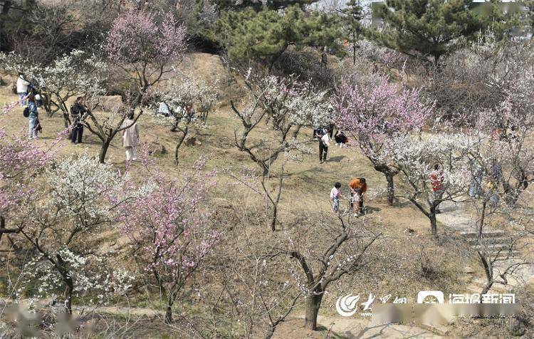 视觉山东丨群众视觉影像库一周图片精选（3月13日-3月19日）