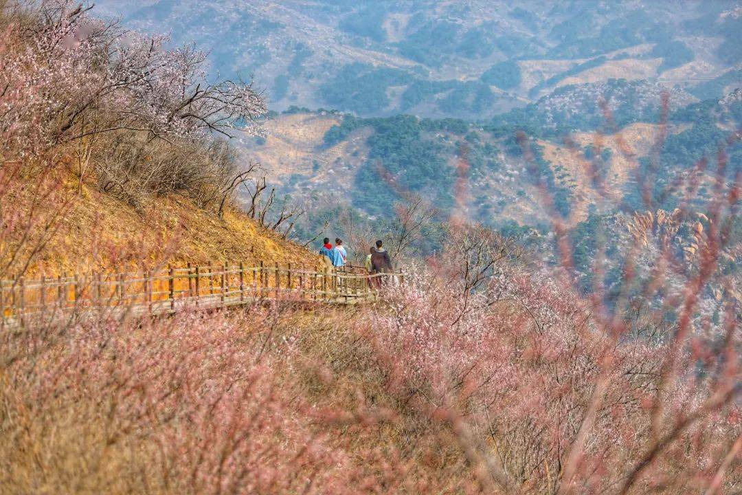 别找了！那届爱玩的年轻人已经不去寺庙了，都在……