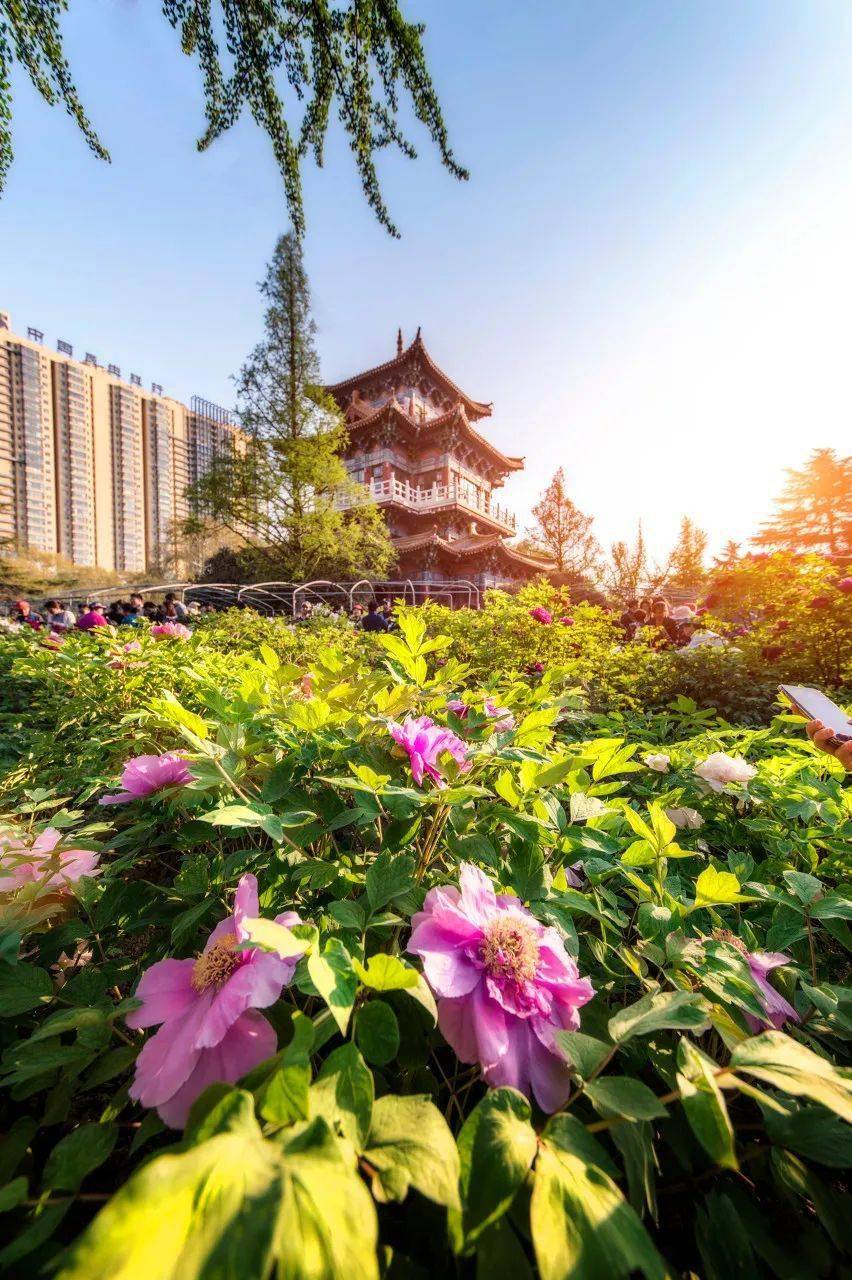 �й���һ�Ʋ���5A������Ƿծ4���ڣ���Ʊ���Ǽۣ���Ȫˮֻ ...