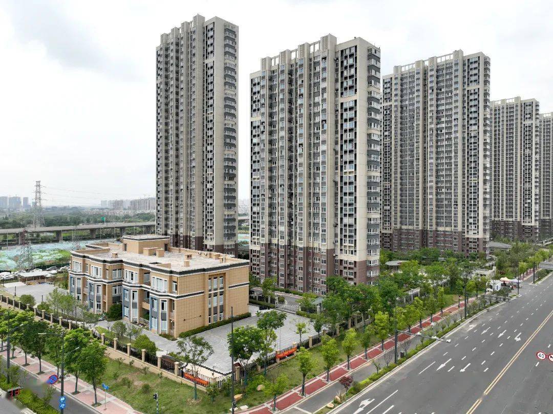 �»��ձ� | ʮ�����£��껨�����š�չ��ͼ